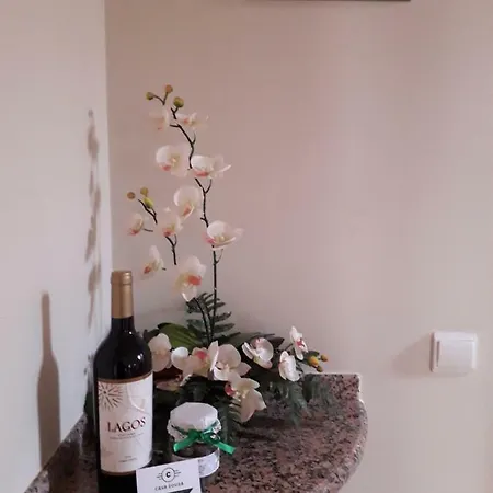 Semesterbostad Casa Sousa